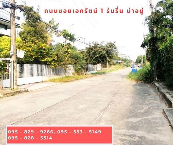 ขายถูกที่ดินเท่าราคาประเมิน ถมสูงกว่าถนน 50 ซม. 98 วา ถนนกว้าง 10 ม. ซ.เอกรัตน์1 ใกล้ตลาดสัมมากรและ ม.รังสิต อ. เมือง ต. 3