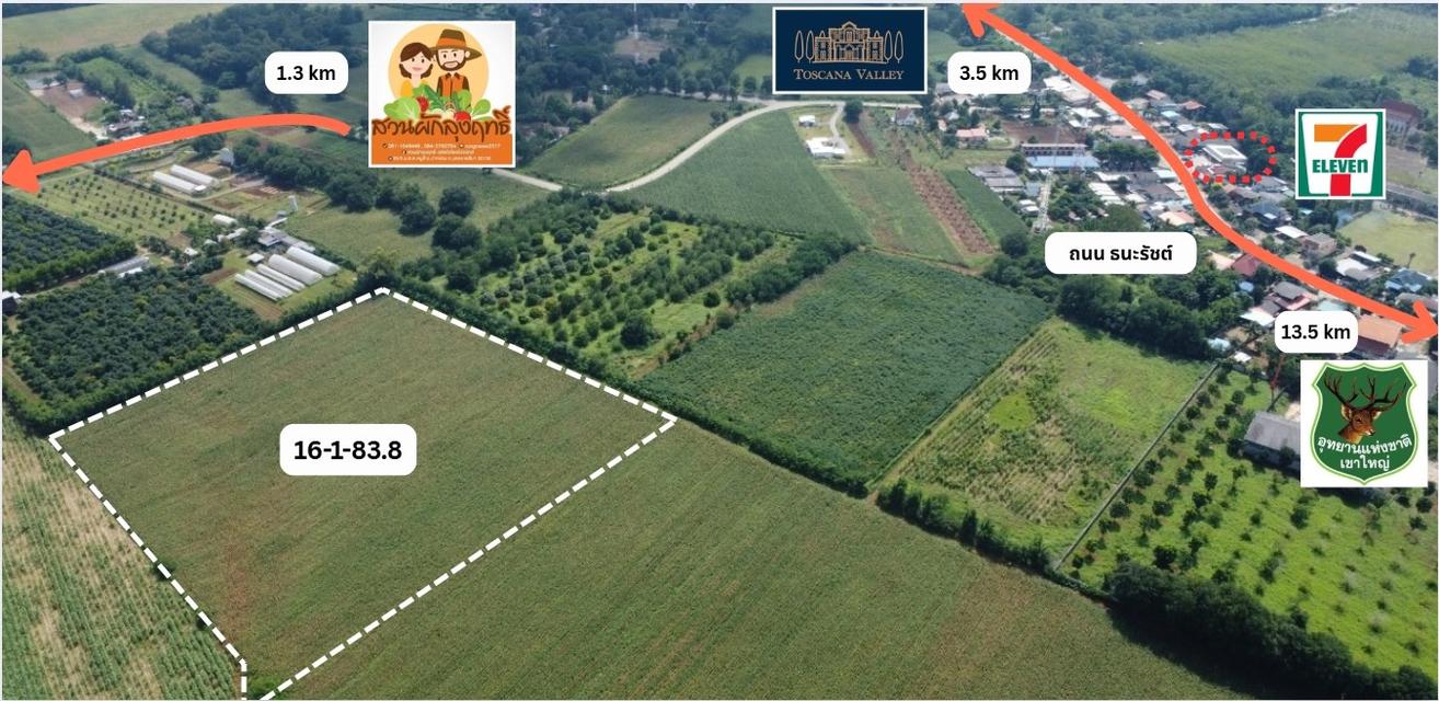 ขายที่ดิน เขาใหญ่ หมูสี วิวเขา