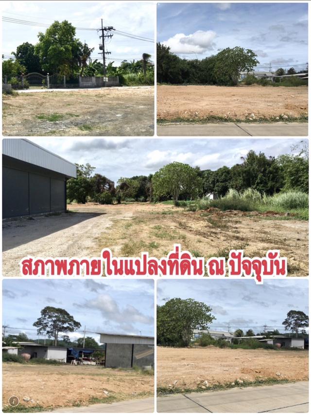 ***ขายที่ดินทำเงิน บางสเร่***
