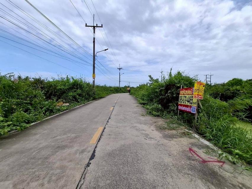 Vายถูกที่ดินถนนบางปลา 445 ตารางวา ติดถนนคอนกรีตสาธารณะ เทศบาลบางปลา ซอย 15,17 เมืองสมุทรสาคร 5