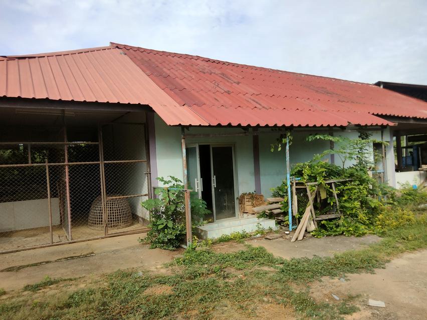 บ้านพร้อมที่ดิน ที่พิษณุโลก 9