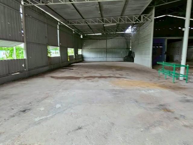 ให้เช่าบ้านโกดังและห้องพักบางนางพานทองชลบุรี บนเนื้อที่ 2 ไร่ ผังสีเหลืองโกดัง พื้นที่ 600 ตรม