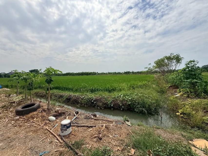 Vายด่วนที่ดินสร้างบ้านสวน 4 ไร่ ติดถนนหินคลุก อ.ลาดหลุมแก้ว จ.ปทุมธานี 3