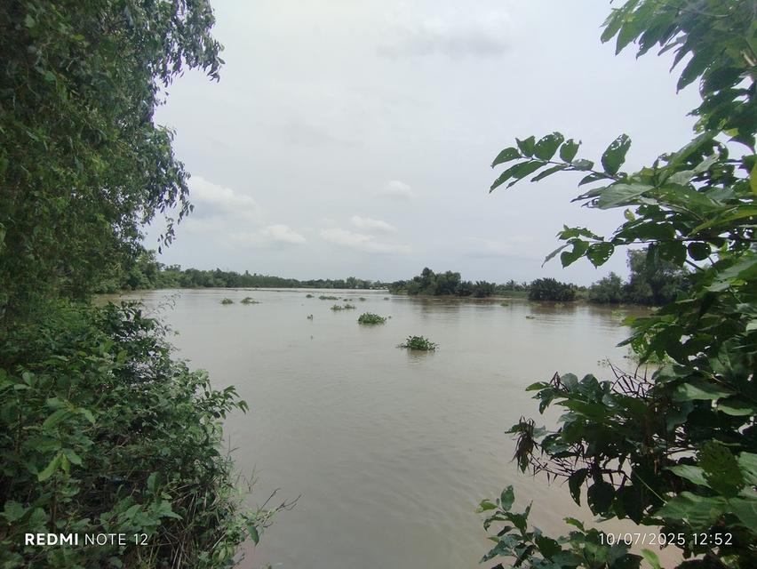 ที่ดินริมน้ำบางปะกง 30 ไร่เศษ ติดถนนใหญ่ + ติดแม่น้ำ วิวสวย ศักยภาพสูง เหมาะลงทุนรีสอร์ท พูลวิลล่า หรือโครงการท่องเที่ยวครบวงจร 5