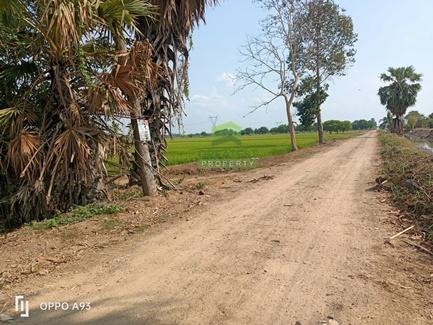 ขายที่ดิน คลอง8 บึงบอน หนองเสือ ปทุมธานี เนื้อที่ 70 ตร.ว ราคาไม่แพง 2