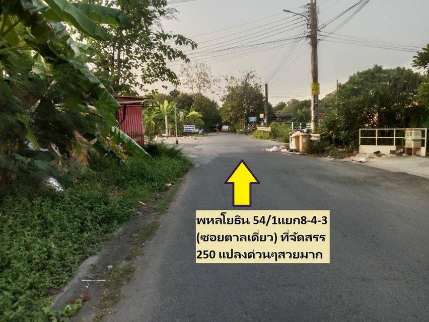 ขายที่ดินจัดสรร 100 ตารางวา ทำเลสายไหม ซอย 6 หรือ พหลโยธิน 54/1 แยก 8-4-3 สวยมาก ถ้าคุณต้องสร้างบ้านต้องรีบทั้งทำเล ราคา ใกล้เมืองสู่ทุกจุดอย่างสวยมาก 7