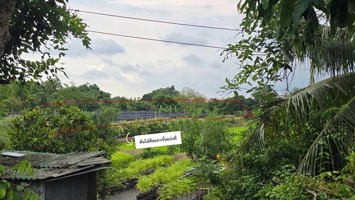 ขายที่ดิน แถวบางใหญ่ ทำเลทอง ติดคลอง ใกล้โครงการคมนาคม