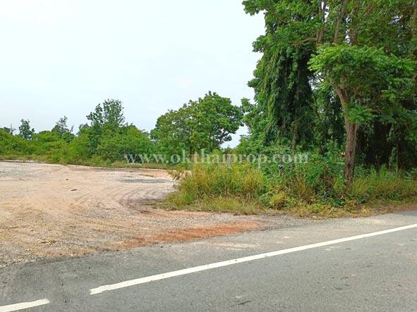 ที่ดิน ต.นาวังหิน อ.พนัสนิคม จ.ชลบุรี 1
