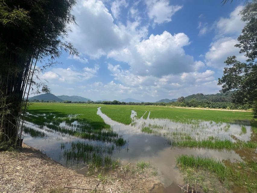 ขายที่ดินสาริกา 14 ไร่ ซอยวัดเขาแดง ใกล้ถนนเส้นทล3049-1.5กม. เมืองนครนายก 1