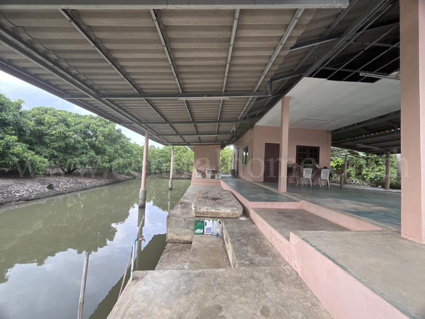 ที่ดิน พร้อมสิ่งปลูกสร้าง 9-3-60 ไร่ สามพราน นครปฐม 9