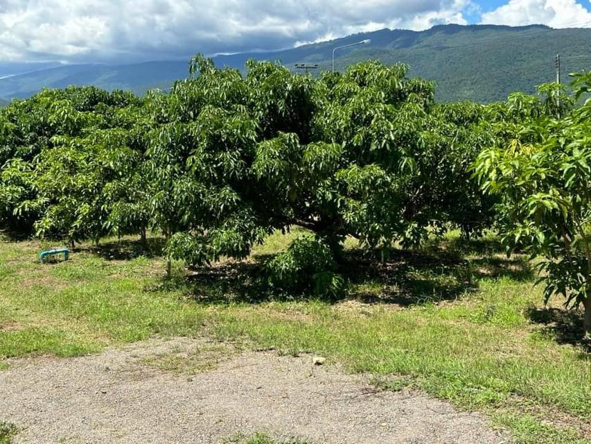 開放販售 土地 山景 6