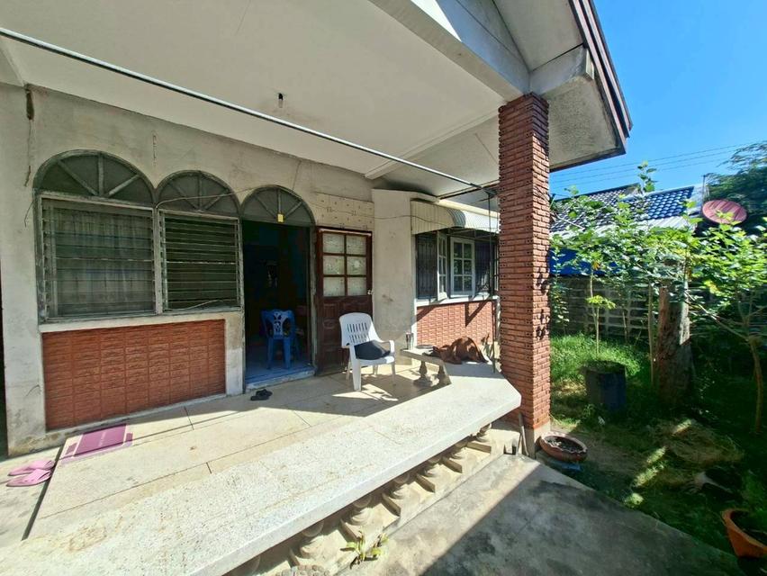 ขายบ้านเดี่ยวชั้นเดียว ชุมชนพัฒนา52 ซอยพหลโยธิน52 ตรงข้ามตลาดยิ่งเจริญ ใกล้รถไฟฟ้าBTSสถานีสะพานใหม่ 5