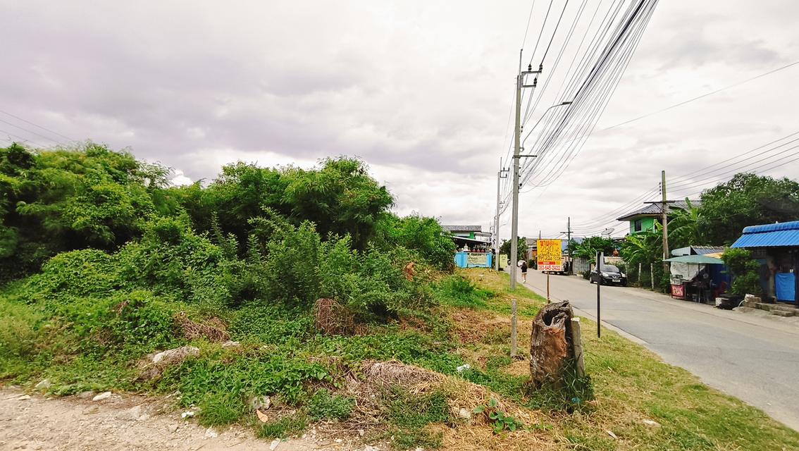 ที่ดิน 280 ตรว. ถมแล้ว แปลงมุม เพชรเกษม81 ซอยมาเจริญ3 3