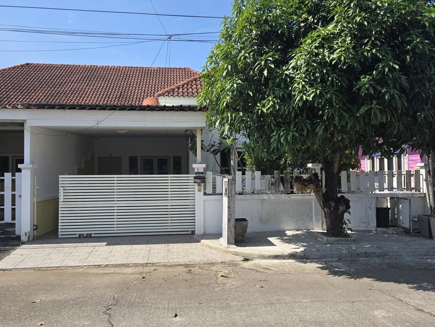 ขาย บ้านแฝดฟังก์ชันครบ – ปรับเป็นโฮมออฟฟิศได้ทันที! 1