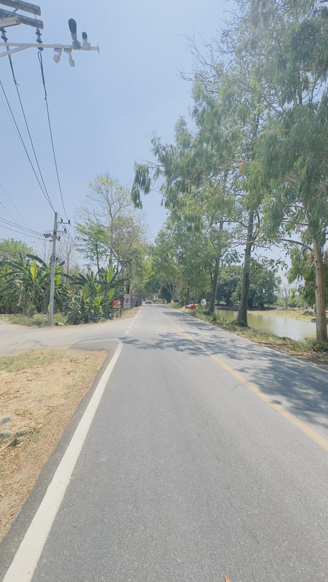 ขายที่ดิน 1 ไร่กว่า โฉนด สวยๆ สารภี เชียงใหม่ Land on sale at Saraphi Chiang Mai 5