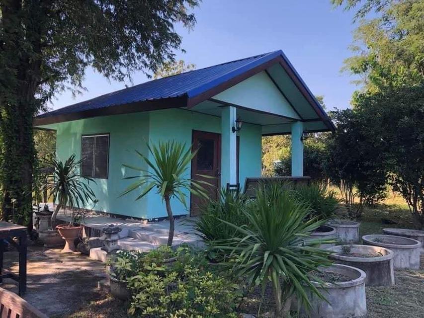 ที่ดิน 8