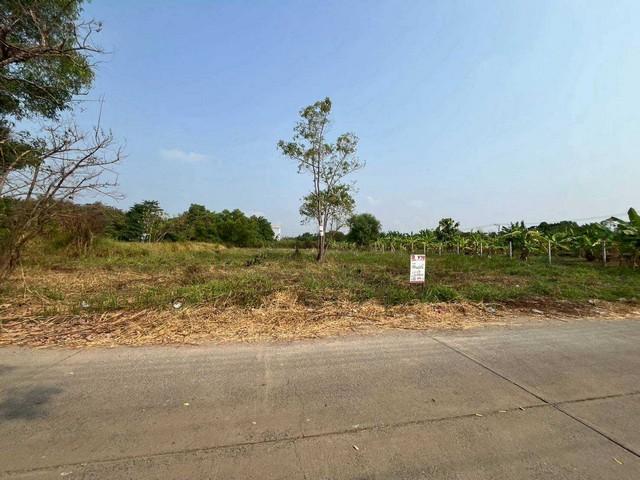 ที่ดินเปล่า ถมแล้วในโครงการ เวิลด์คลับแลนด์ ซอย 1 ถนนคลองหลวง ตำบลคลองสาม อำเภอคลองหลวง จังหวัดปทุมธานี 4