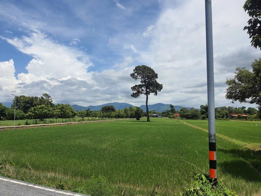 ที่ดิน ราคาไม่เเพลง นครนายก-สระบุรี 3