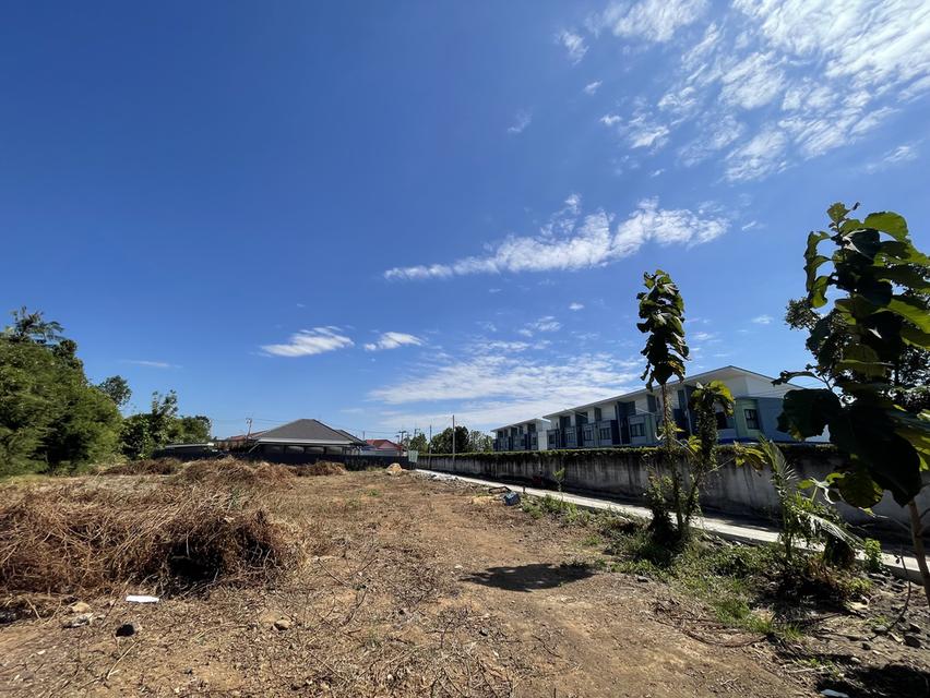 ขายที่ดิน ถมแล้วนาน 10 ปี 5