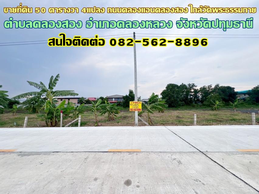 ขายที่ดิน 50 ตารางวา 4แปลง ถนนคลองแอนคลองสอง ใกล้วัดพระธรรมกาย คลองหลวง