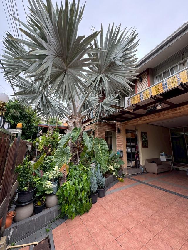 ขาย บ้านเดี่ยว 2 ชั้น 2 หลัง รวม  100  ตร.ว. หลังใหญ่ที่สุดใน หมู่บ้านโฮมเพลสรังสิต   ติดสถานีรถไฟฟ้าสายสีแดง เดินได้ไม่ถึง 5 นาที  11