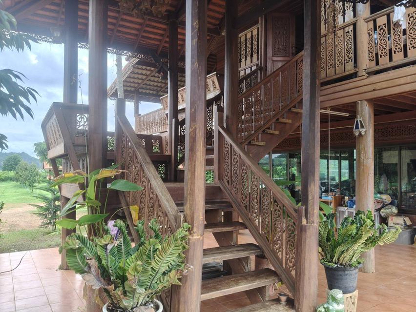 ขายที่สวนทุเรียน เขาใหญ่ ปากช่อง บ้านสวนผลไม้ คลองม่วง นครราชสีมา ที่ดิน 11 ไร่ บ้านไม้เรือนไทย ใกล้ภูเขา วิวเขาล้อมรอบสวยมาก ที่สูงอากาศดี 0879074045 12