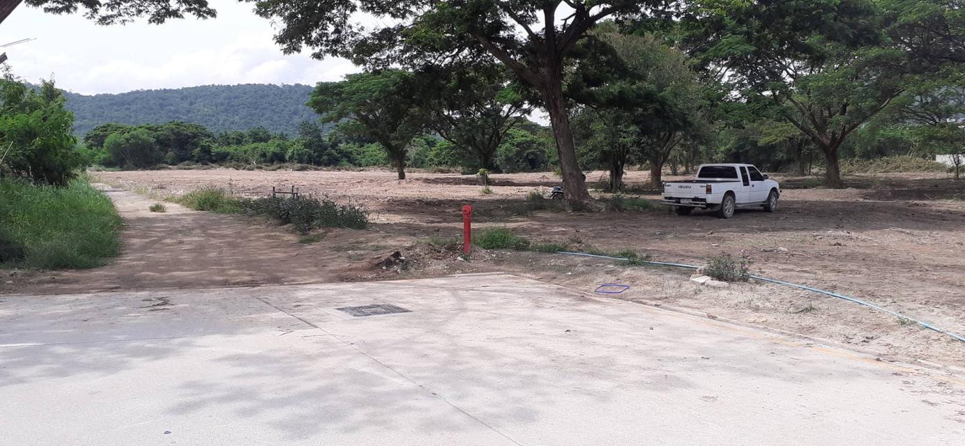 ขายที่ดินอำเภอหัวหิน 12 ไร่ 3