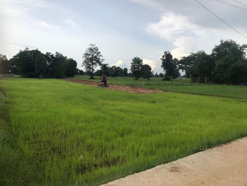 เจ้าของขายเอง ขายที่ดิน 5 ไร่กว่า ติดถนน น้ำ-ไฟ ถึง ห่างสถานีรถไฟ อำเภออุทุมพรพิสัย 5 กิโล เดินทางสะดวกมาก 5
