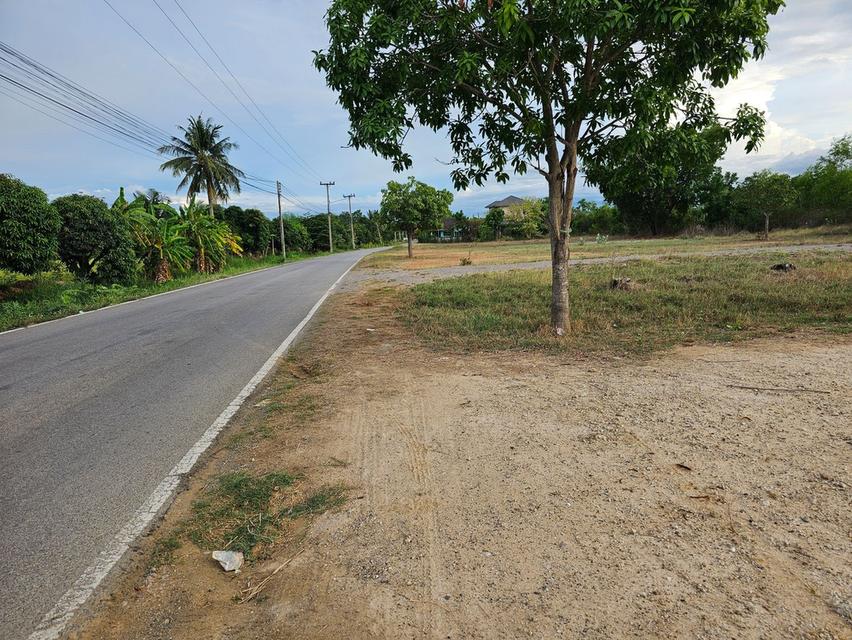 ขายที่ดิน ทำเลทอง ในเขตเทศบาลจอมบึง จังหวัดราชบุรี 3