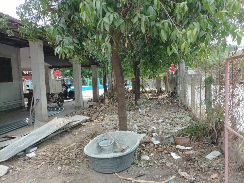 ขายบ้านพร้อมที่ดิน ต.สำราญราษฏร์ อ.ดอยสะเก็ด จ.เชียงใหม่ 12