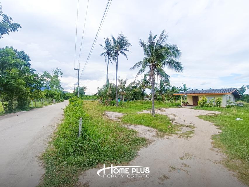 🌳 ขายที่ดินแปลงใหญ่ 14 ไร่ 24 ตร.ว. ใกล้สถานีรถไฟห้วยยาง ทับสะแก 11