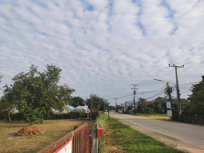 ที่ดิน​ 6​ ไร่​ 1​ งาน​ 31​ ตารางวา​ 9