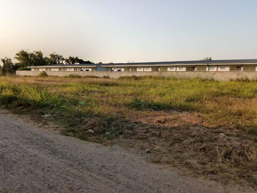 ที่ดินสวย โฉนดครุฑแดง ต.นากลาง อ.สูงเนิน จ.นครราชสีมา อยู่ติดชุมชน ตรงข้ามกับ อบต.ต.นากลาง ห่าง ตลาด, 7-11, CJ ไม่ถึง500 เมตร ใกล้นิคมอุตสาหกรรมนวนคร 9