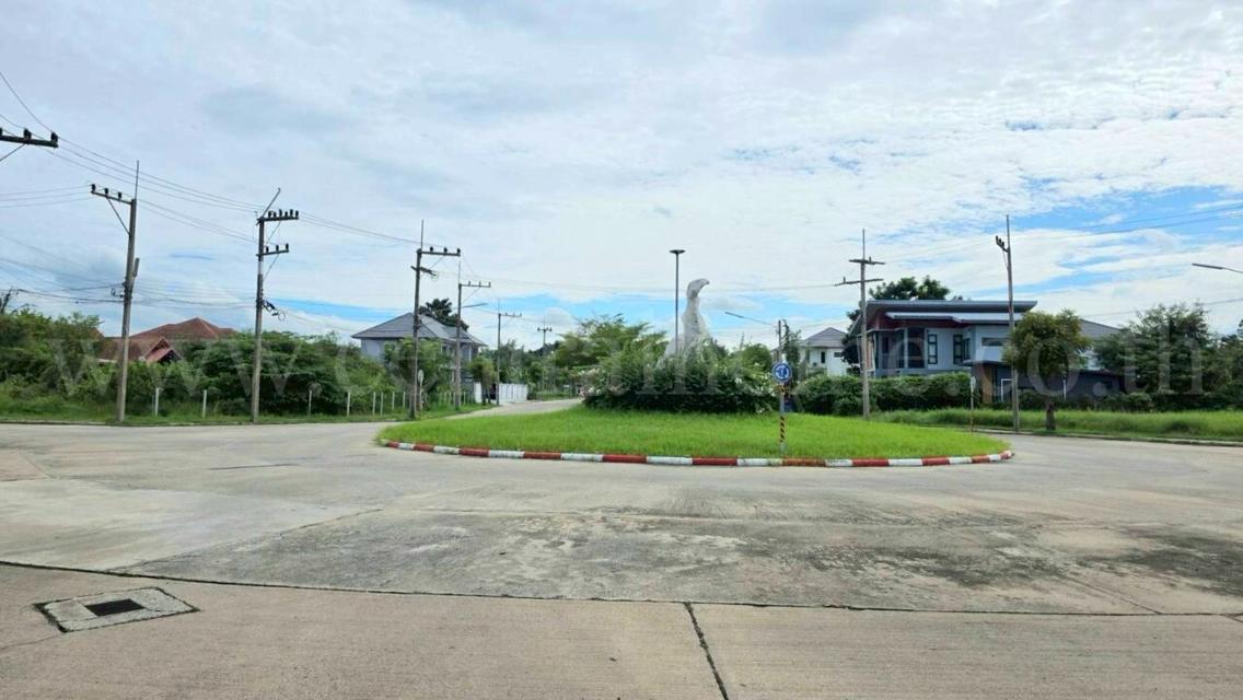 ที่ดินเปล่า 98 ตร.วา ต้นโครงการ เดอะลากูน 1-2 สามโคก ปทุมธานี  12