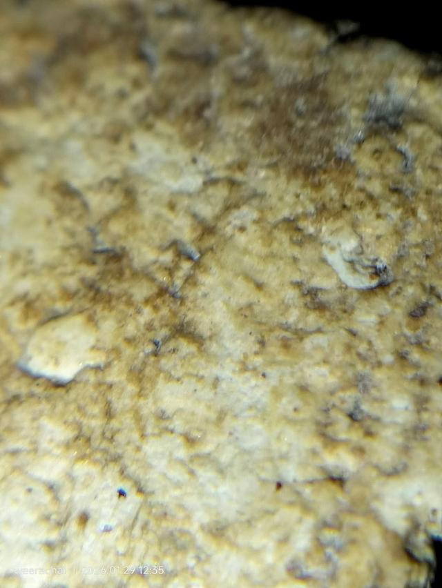 พระสมเด็จวัดระฆังพิมพ์เกศบัวตูม รูปที่ 14