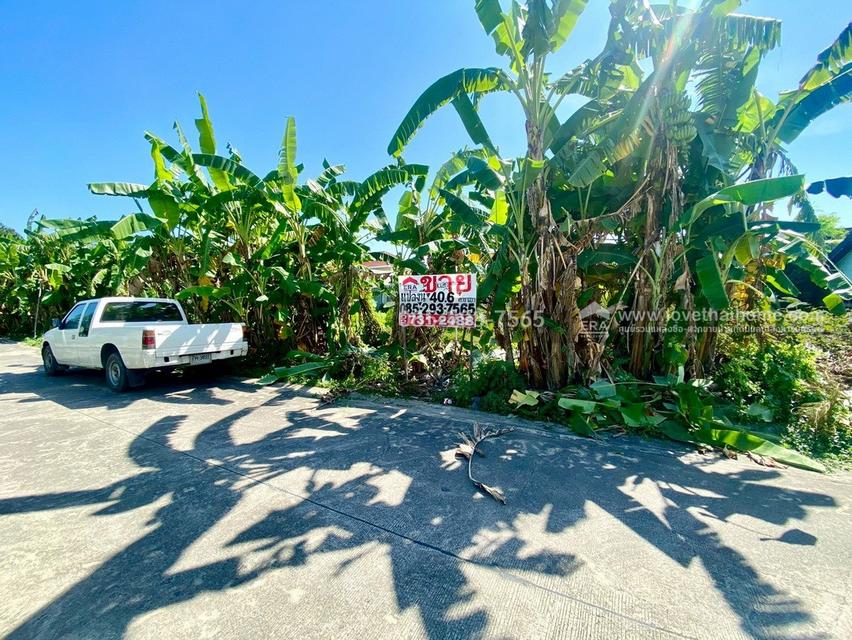 ขายที่ดิน ถนนสุขาภิบาล5 ซอย34 สายไหม แปลงสวย พื้นที่ 40.6 ตารางวา เข้าซอยเพียง 300 เมตร ใกล้จุดขึ้น-ลงทางด่วนสุขาภิบาล5 4