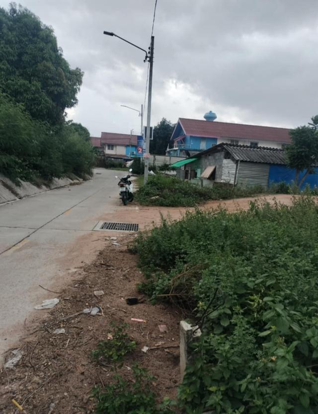 ขายที่ดินพัทยา หนองปรือ 115 ตรว. ซอยหนองไม้แก่น15 ใกล้อ่างเก็บน้ำมาบประชัน-2กม.อ.บางละมุง ชลบุรี 3
