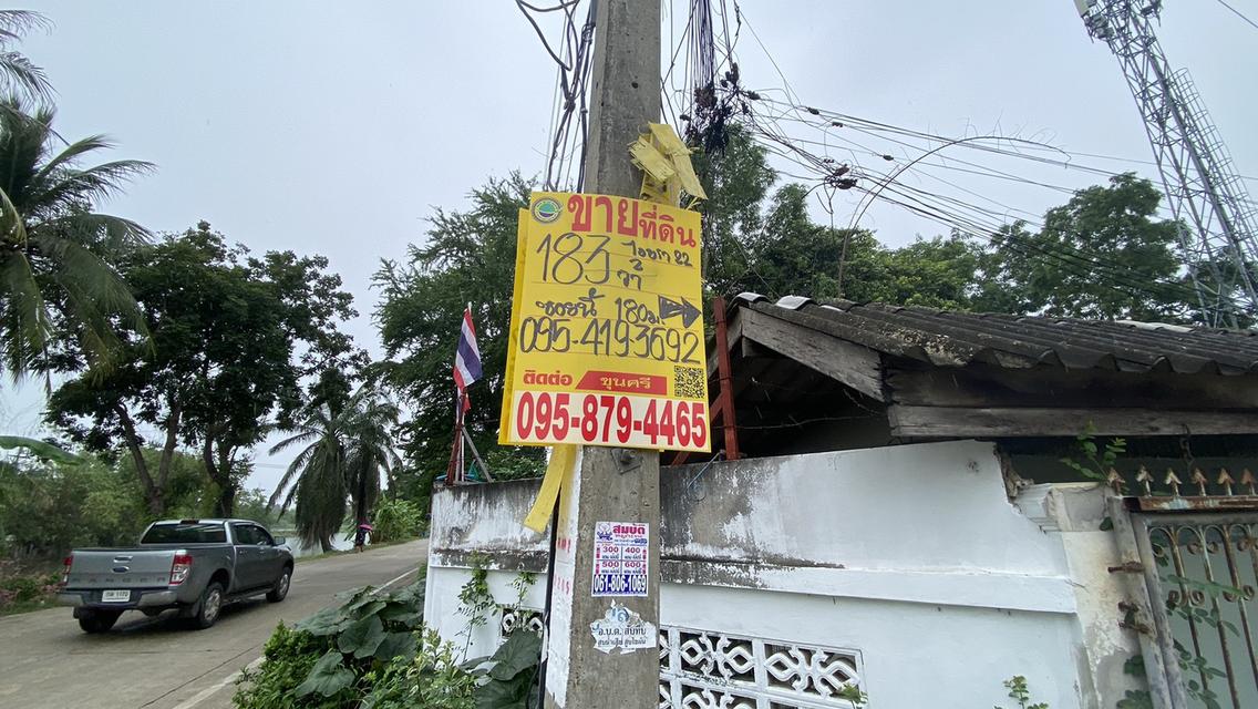 ขายด่วนที่ดินคลองสอง 183 ตรวติดถนนคอนกรีตสาธารณะ ซ.ไอยรา 22 อ.คลองหลวง จ.ปทุมธานี 1