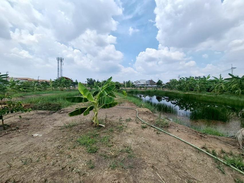 ขายที่ดินเปล่า ซอยเทิดราชัน47 ใกล้สนามบินดอนเมือง