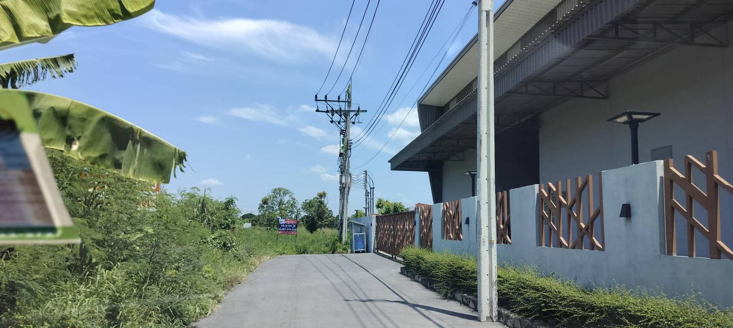 โอกาสลงทุนหายาก! ที่ดินแปลงใหญ่ 18 ไร่ ใกล้สนามบินสุวรรณภูมิ ทำเลศักยภาพสูง รองรับธุรกิจโลจิสติกส์ 3