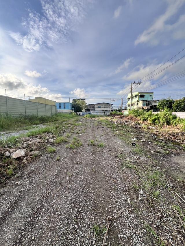 ขายที่ดินเปล่าสีม่วง สุขสวัสดิ์ 78 พระประแดง เหมาะทำธุรกิจอุตสาหกรรม 9