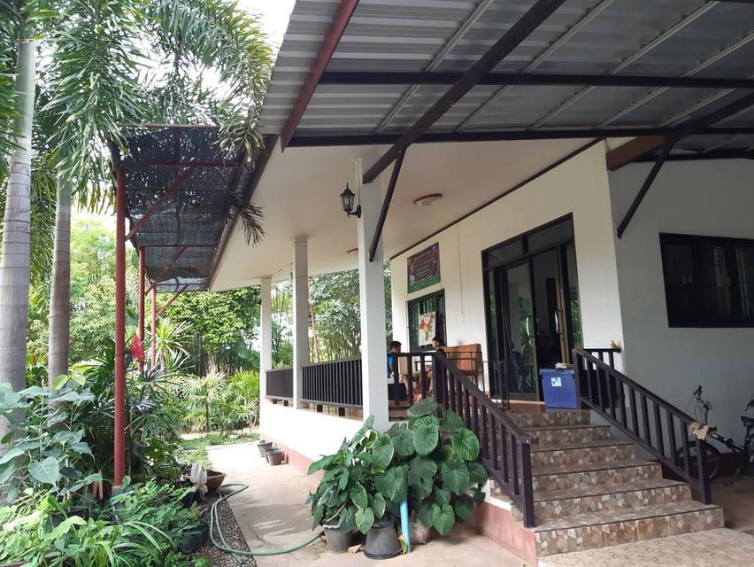 ขายด่วน!! บ้านพร้อมที่ดินขนาดใหญ่ ราคาถูก จ.หนองคาย (H1SS-466) 9