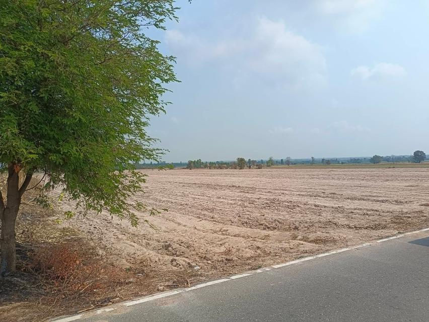 ขายที่ดิน 89ไร่ จ.ชัยนาท 4