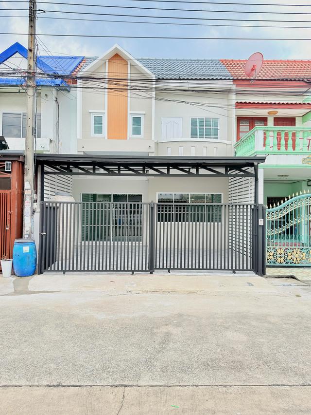 คัทลียา ลำลูกกา คลอง 3 1