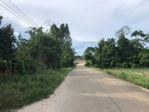 ขายที่ดิน สวนทุเรียน เมืองระยอง วิวภูเขา ติดแหล่งน้ำธรรมชาติ ใกล้ทะเล เนื้อที่ 4 ไร่ 3 งาน 29 ตร.ว. โทร 0852619111 เจ้าของขายเอง 8