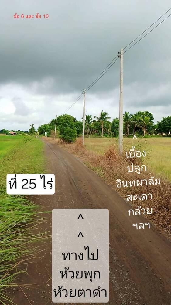 ที่ดิน25ไร่ นครสวรรค์ ใกล้กรุงเทพ 1