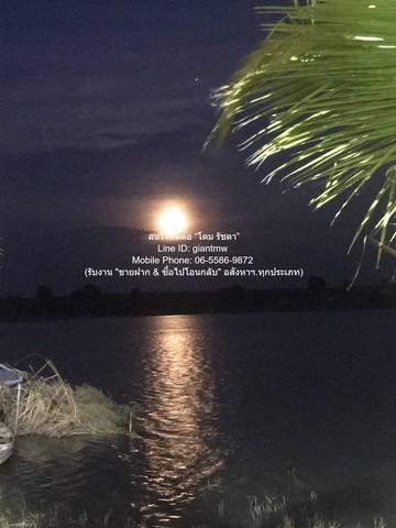 พื้นที่ดิน ขายที่ดิน+สิ่งปลูกสร้าง ธัญบุรี รังสิตคลอง 14 76-1-15.4 ไร่ ราคา 59 ล้านบาท (765,000 บาท/ไร่) 59000000 บาท. ค 7