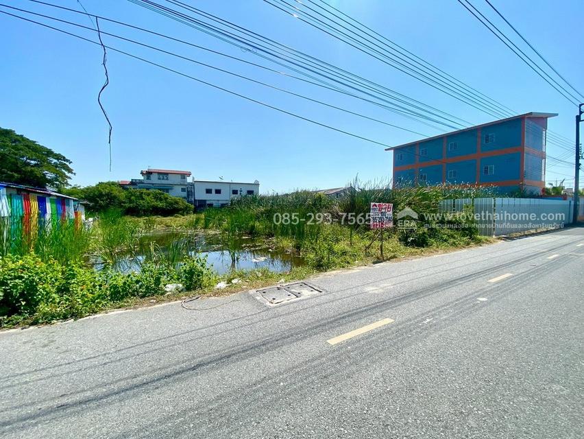 ขายที่ดิน ซอยหล่อพระ ถนนบางกรวย-ไทรน้อย บางบัวทอง พื้นที่ 100 ตารางวา ใกล้สำนักงานเทศบาลเมืองใหม่บางบัวทอง 5