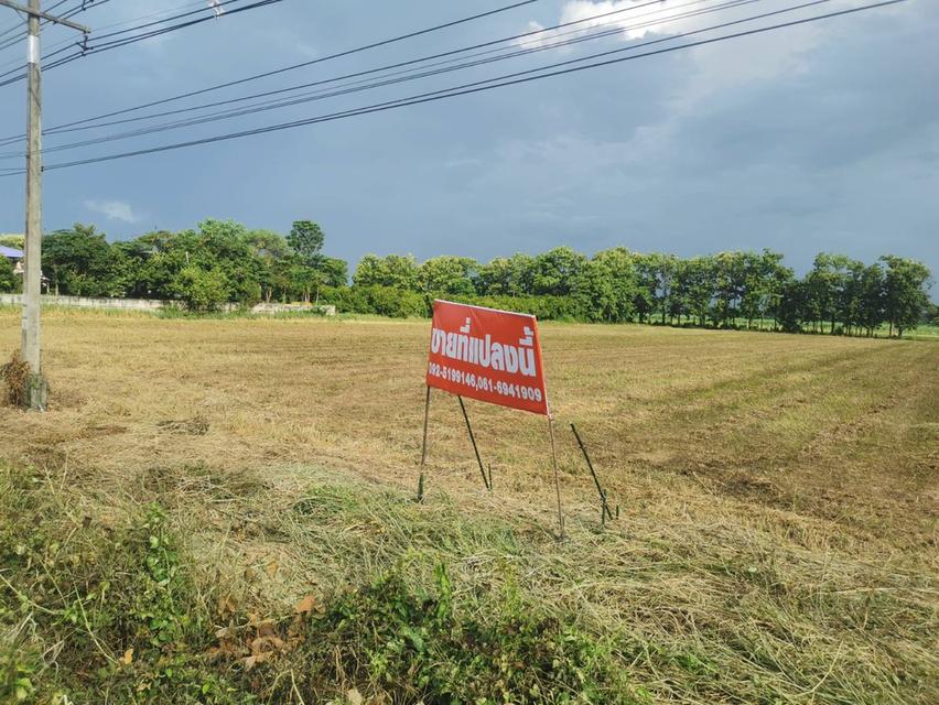 ที่ดิน อำเภอสวรรคโลก จังหวัดสุโขทัย 3