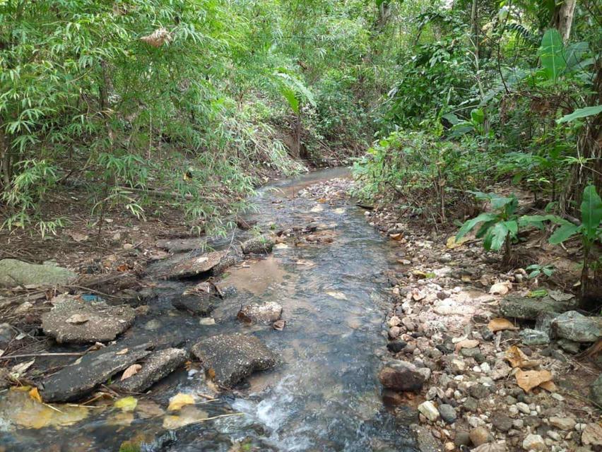 ที่ดินวิวเขาติดลำธาร ระยอง 1